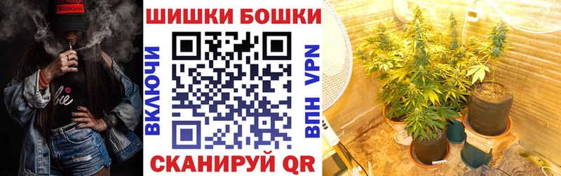 Как найти закладки Жуков ГАШИШ  КОКАИН  hydra как войти  А ПВП  Канабис  Меф мяу мяу  АМФ 