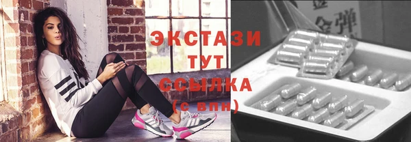 дмт Ельня