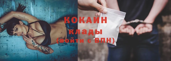 дмт Ельня