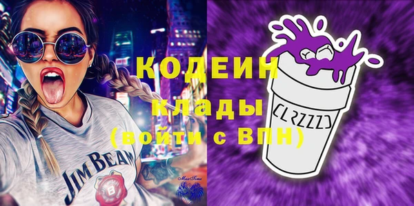 дмт Ельня