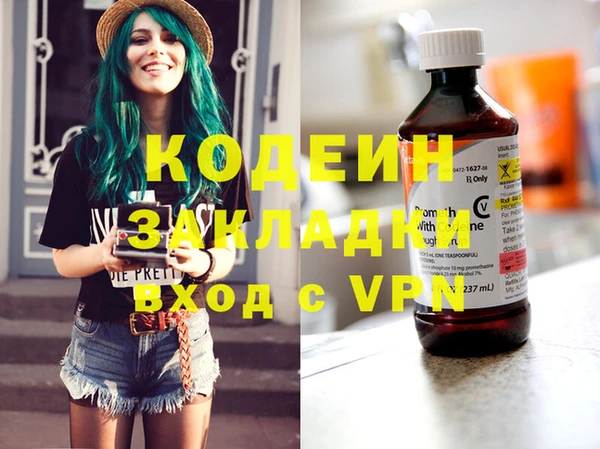 дмт Ельня
