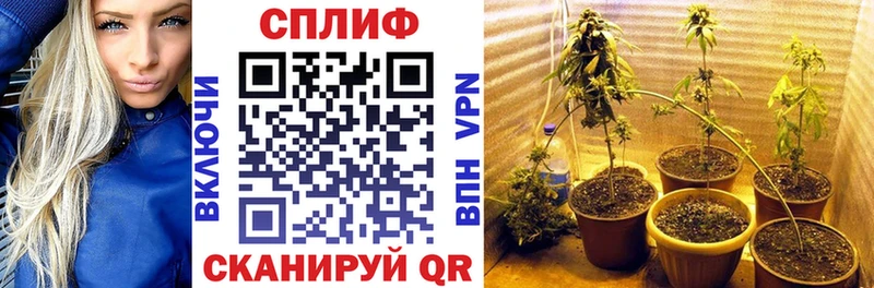 Каннабис план  магазин продажи   Жуков 